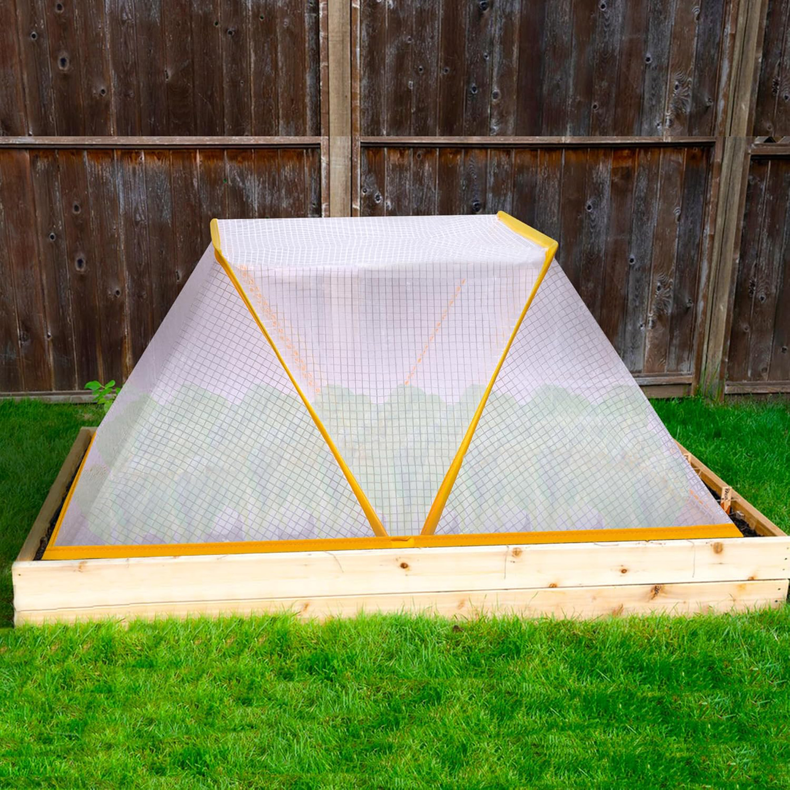 view